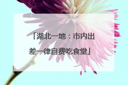 湖北一地：市内出差一律自费吃食堂