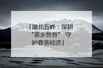 湖北五峰：深耕“茶乡警务” 守护春茶经济