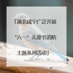 湖北咸宁广泛开展“六一”儿童节消防主题系列活动