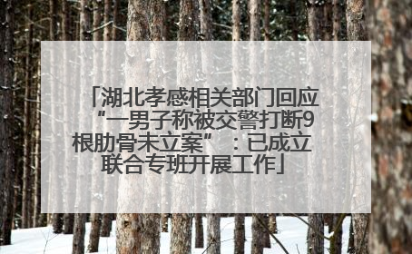 湖北孝感相关部门回应“一男子称被交警打断9根肋骨未立案”：已成立联合专班开展工作