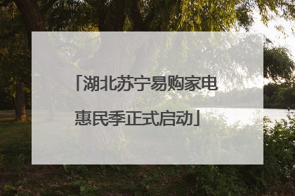 湖北苏宁易购家电惠民季正式启动