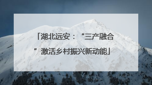 湖北远安：“三产融合”激活乡村振兴新动能