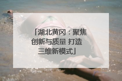 湖北黄冈：聚焦创新与质量 打造三维新模式