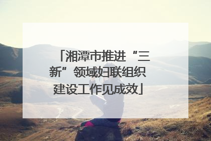 湘潭市推进“三新”领域妇联组织建设工作见成效