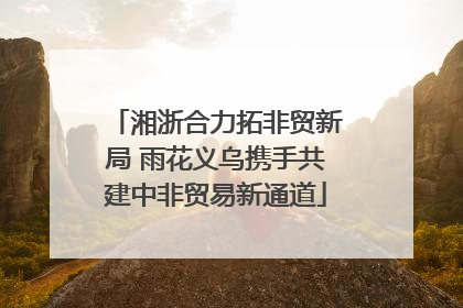 湘浙合力拓非贸新局 雨花义乌携手共建中非贸易新通道