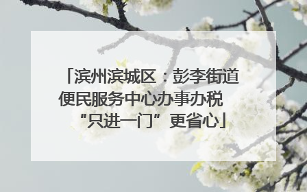 滨州滨城区：彭李街道便民服务中心办事办税 “只进一门”更省心