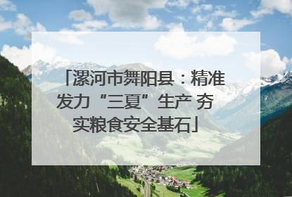 漯河市舞阳县：精准发力“三夏”生产 夯实粮食安全基石