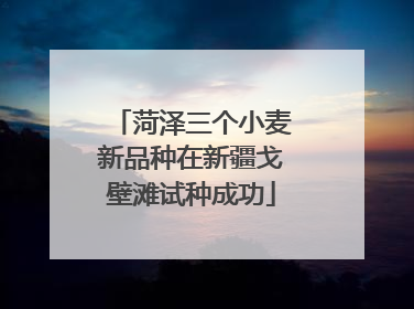 菏泽三个小麦新品种在新疆戈壁滩试种成功