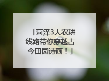 菏泽3大农耕线路带你穿越古今田园诗画！
