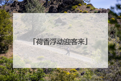 荷香浮动迎客来