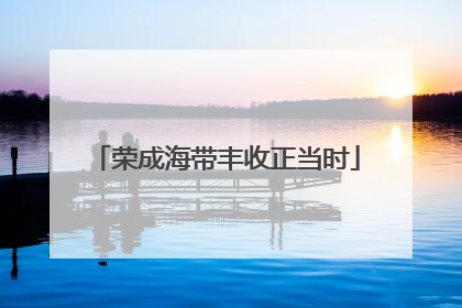 荣成海带丰收正当时