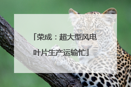荣成：超大型风电叶片生产运输忙