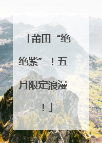 莆田“绝绝紫”！五月限定浪漫！
