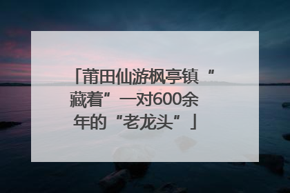 莆田仙游枫亭镇“藏着”一对600余年的“老龙头”