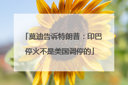 莫迪告诉特朗普：印巴停火不是美国调停的