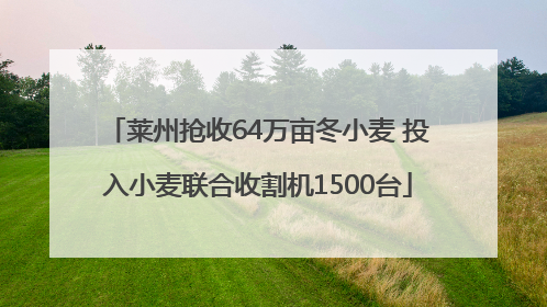 莱州抢收64万亩冬小麦 投入小麦联合收割机1500台