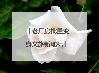 老厂房批量变身文旅新地标