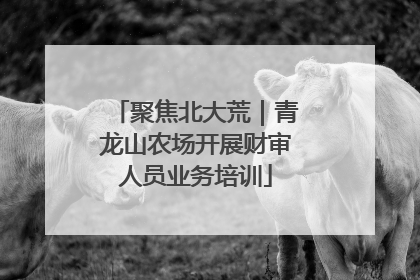 聚焦北大荒｜青龙山农场开展财审人员业务培训