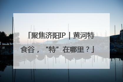 聚焦济阳IP｜黄河特食谷，“特”在哪里？
