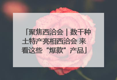 聚焦西洽会｜数千种土特产亮相西洽会 来看这些“爆款”产品