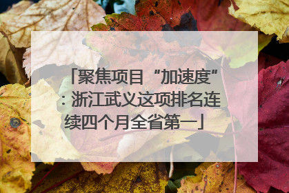 聚焦项目“加速度”：浙江武义这项排名连续四个月全省第一