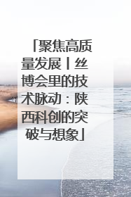 聚焦高质量发展丨丝博会里的技术脉动：陕西科创的突破与想象