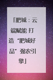 肥城：云端赋能 打造“肥城好品”强农引擎