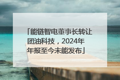 能链智电董事长转让团油科技，2024年年报至今未能发布