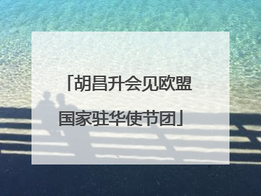 胡昌升会见欧盟国家驻华使节团
