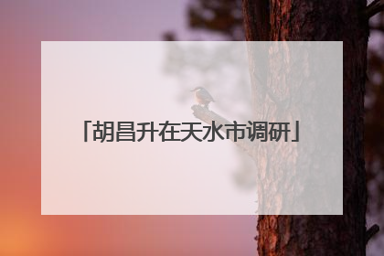 胡昌升在天水市调研
