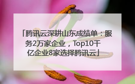 腾讯云深耕山东成绩单：服务2万家企业，Top10千亿企业8家选择腾讯云
