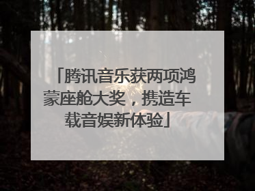 腾讯音乐获两项鸿蒙座舱大奖，携造车载音娱新体验