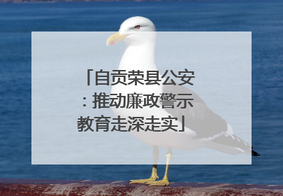 自贡荣县公安：推动廉政警示教育走深走实