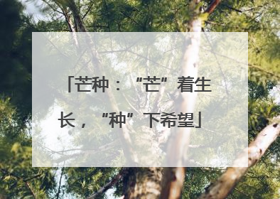 芒种：“芒”着生长，“种”下希望