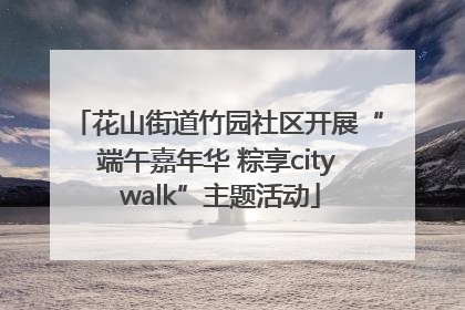 花山街道竹园社区开展“端午嘉年华 粽享city walk”主题活动