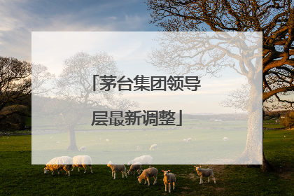 茅台集团领导层最新调整