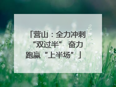 营山：全力冲刺“双过半” 奋力跑赢“上半场”