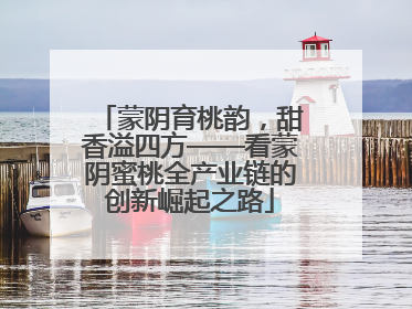 蒙阴育桃韵，甜香溢四方——看蒙阴蜜桃全产业链的创新崛起之路