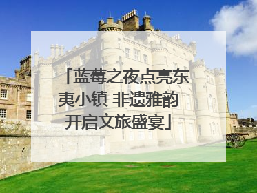 蓝莓之夜点亮东夷小镇 非遗雅韵开启文旅盛宴