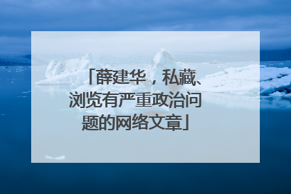薛建华，私藏、浏览有严重政治问题的网络文章