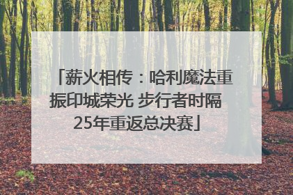 薪火相传：哈利魔法重振印城荣光 步行者时隔25年重返总决赛