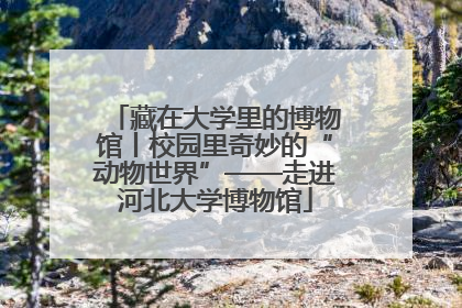 藏在大学里的博物馆丨校园里奇妙的“动物世界”——走进河北大学博物馆