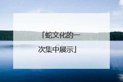 蛇文化的一次集中展示