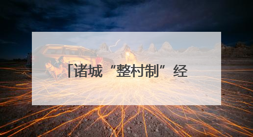 诸城“整村制”经营铺就富民强村路，合作社迎来大丰收