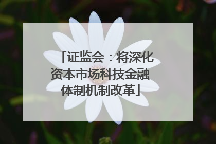 证监会：将深化资本市场科技金融体制机制改革