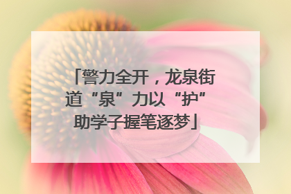 警力全开，龙泉街道“泉”力以“护”助学子握笔逐梦