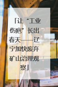 让“工业伤疤”长出春天——辽宁加快废弃矿山治理观察