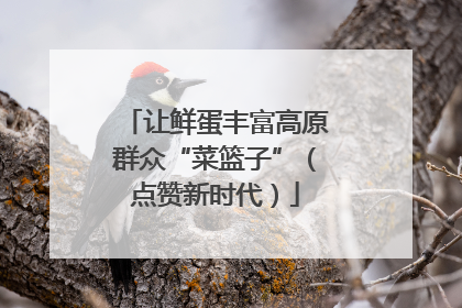 让鲜蛋丰富高原群众“菜篮子”（点赞新时代）