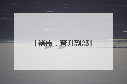 褚伟，晋升副部