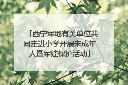 西宁军地有关单位共同走进小学开展未成年人暨军娃保护活动